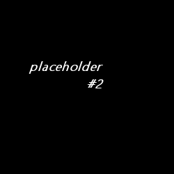 Placeholder Image 2